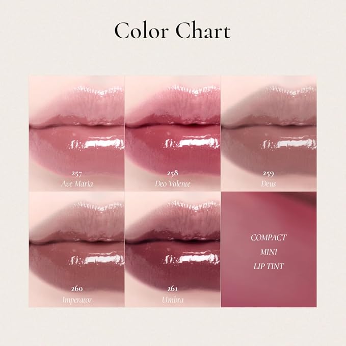 DINTO Blur-Glowy MINI Lip Tint (256 Carpe Diem) - Glossy Finish, Hydrating, Long Lasting, Lightweight Texture, Non-Sticky, Vegan & Cruelty-Free, Korean makeup (11 colors)