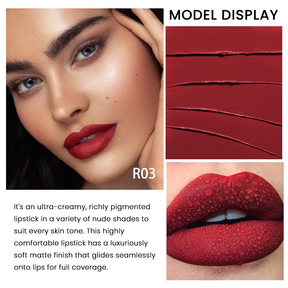 evpct 1Pcs Dark Red Lipstick, Silky Velvet Matte Lipstick Pack Sets for Women