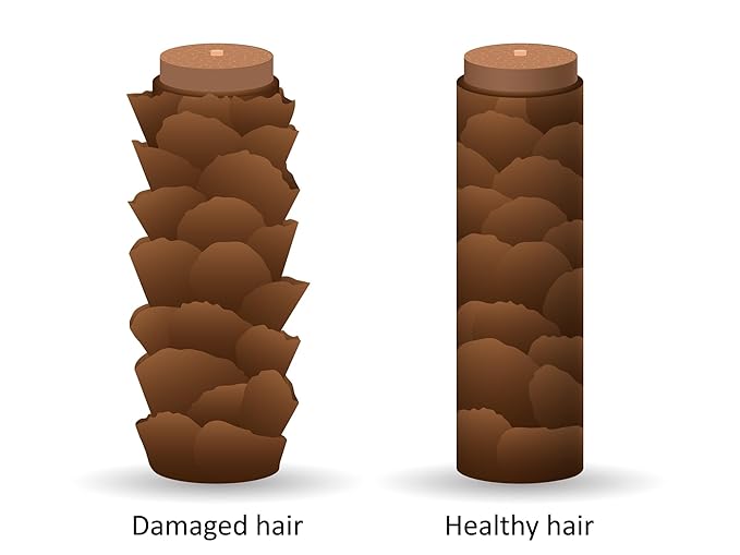 DermOrganic Argan Oil of Morocco Leave-In Hair Treatment, 4 oz