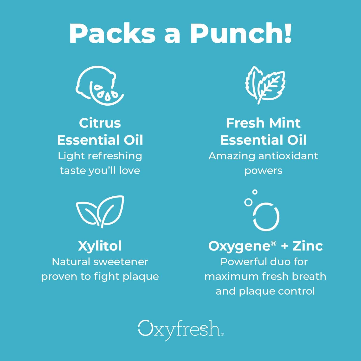 Oxyfresh Maximum Fresh Breath Lemon Mint Toothpaste - Clean Teeth & Fresh Breath - Natural Essential Oils & Natural Xylitol to Help Fight Tartar - SLS & Fluoride Free - 5 oz (Pack of 3)