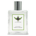 CA Perfume Impression of Eternal For Men Aromatic Fougere Scent Long Lasting Cologne for Men Signature Scent for Day and Night Wear 3.4 Fl Oz 100ml