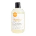 DANI Naturals Grapefruit Ginger Body Wash, Sulfate-Free and Vegan, 12 fl oz