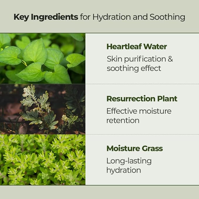 JMsolution Heartleaf 88 Toner (8.45 fl.oz.) | 88% Heartleaf Extract for Instant Soothing | Gentle Pore Care & Hydration | Hypoallergenic Face Toner | K-Beauty