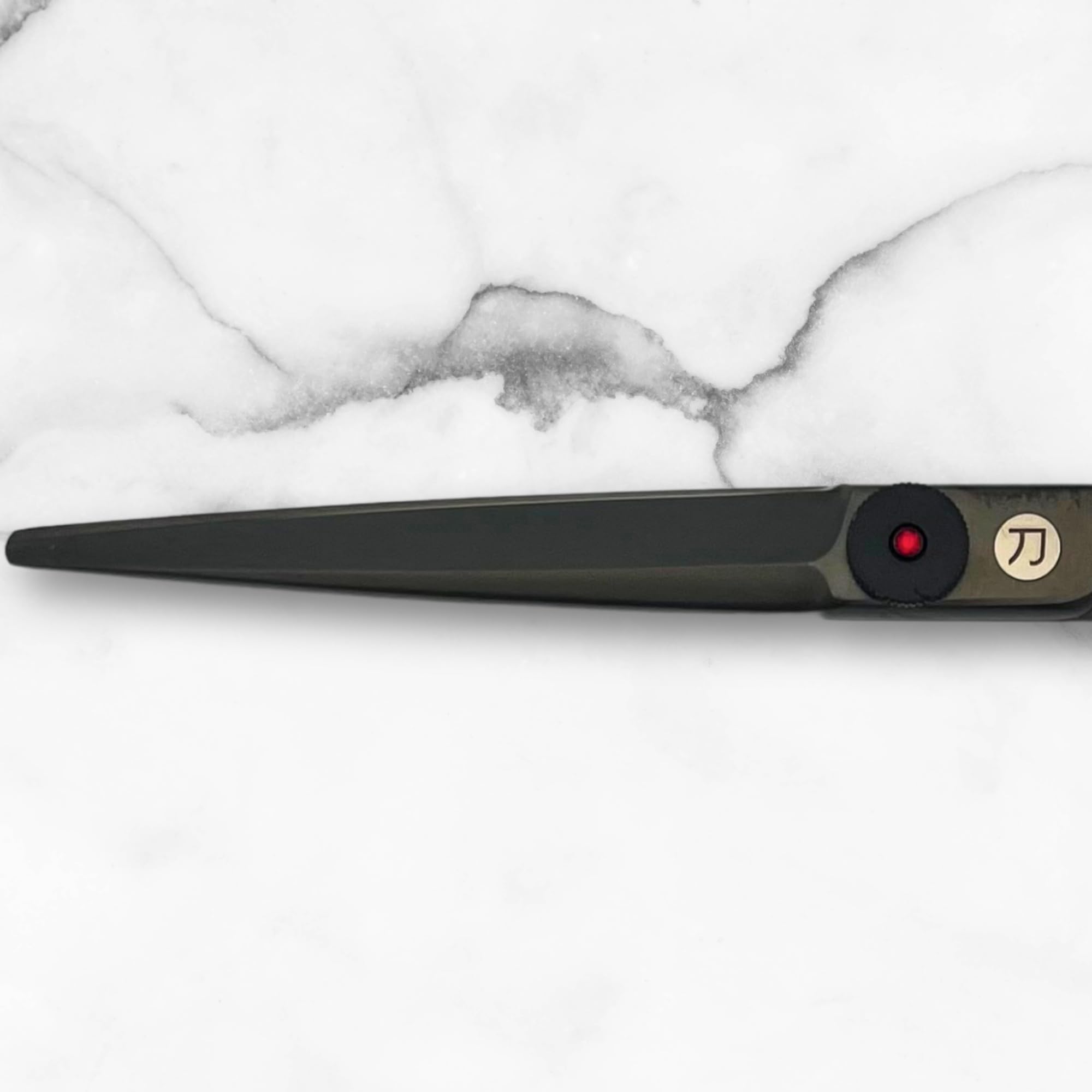 Scissors for Haircutting Professionals - Matte Black Finish - Long Lasting, Sharp Edge for Easy Hair Cuts - 440C Stainless Steel (6.0 Inches)