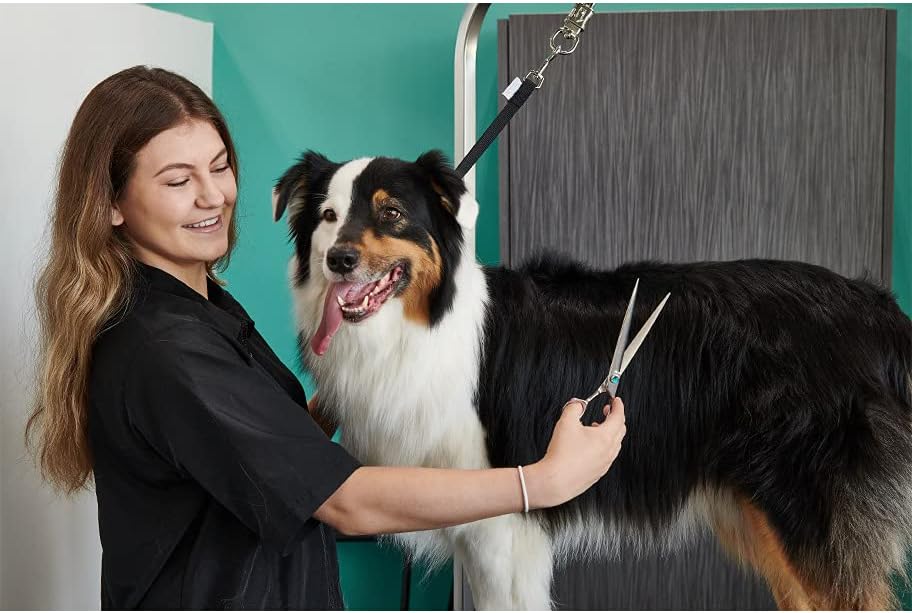Groomer Essentials Straight Shear 8"