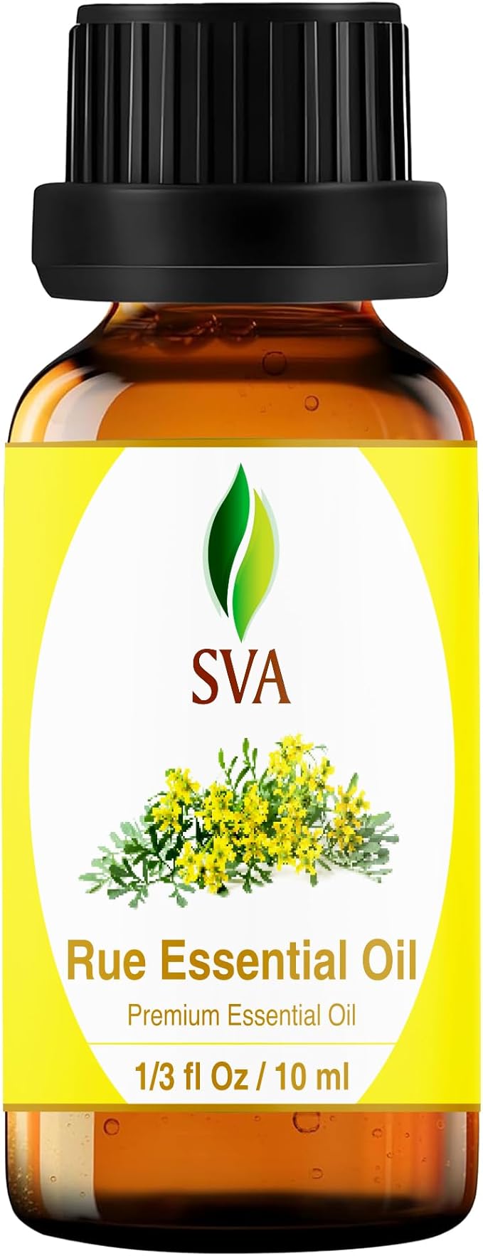 SVA Rue Essential Oil in Glass Bottle, 1/3 Fl Oz (10 ml)