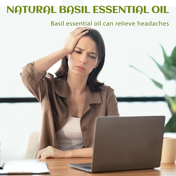 EVOKE OCCU Basil Essential Oil for Diffuser, DIY & Herbal
