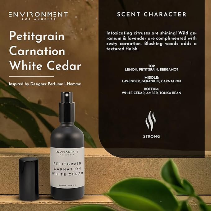 ENVIRONMENT LHomme 100ml Room Spray Petitgrain, Carnation & Cedar