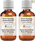 Greenwood Essential Pure Hyssop Essential Oil (Hyssopus officinalis) Steam Distilled (Pack of Two) 100ml X 2 (6.76 oz)