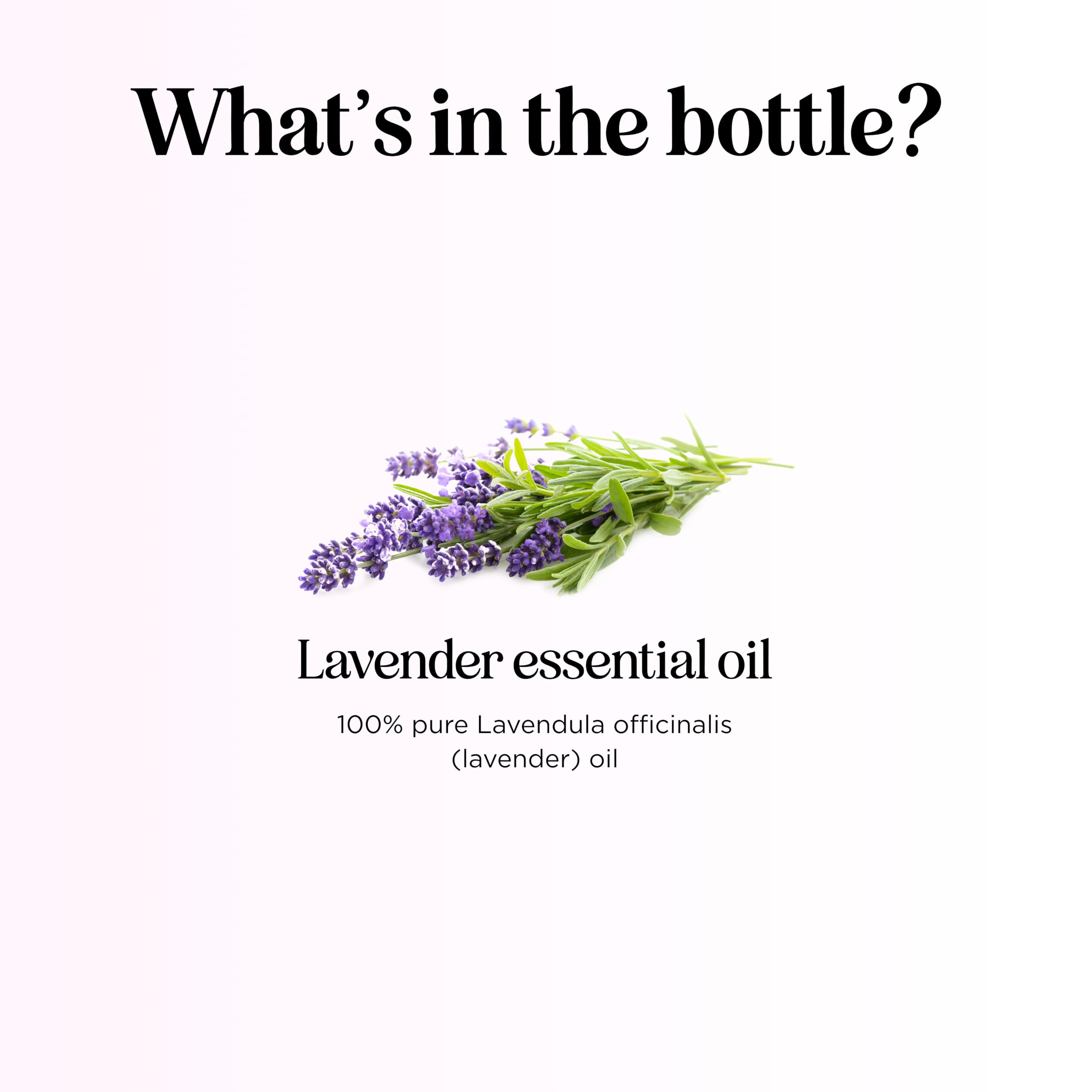 Pure Lavender Essential Oil - Lavender Oil for Hair Skin and Nails Plus Aromatherapy Diffusers Humidifiers Linens and Baths for at Home Spa Self Care - Premium Grade Non-GMO in Glass Bottle (1 Fl Oz)
