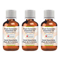 Greenwood Essential Pure Coriander Essential Oil (Coriandrum sativum) (Pack of Three) 100ml X 3 (10.1oz)