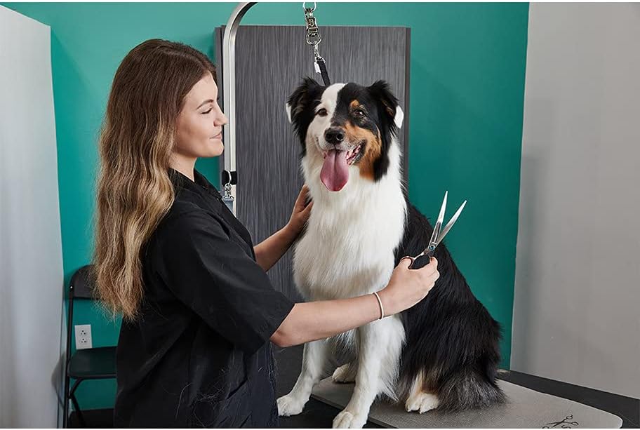 Groomer Essentials Curved Shear 8"