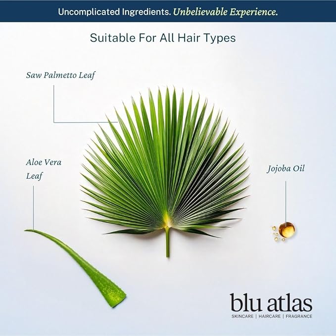 Blu Atlas Natural Shampoo for Men — Sulfate-Free for All Hair Types, 15 Ingredients, No Filler, Helps with Dandruff and Dry Scalp — Classic Scent, 8 oz