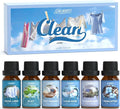 SALUBRITO Clean Diffuser Oils Set, Premium Essential Oils Set for Diffuser, Candle, Soap Making, Fresh Cotton, Clean Home, Fresh Linen, Soft Powder, Blossom Soap, Mint, Fragrance Oil