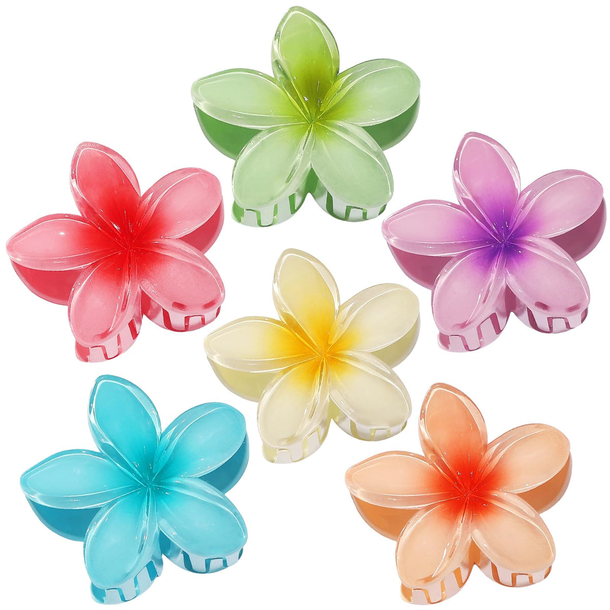CHANDAT Flower Hair Clips 6 PCS Hair Accessories for Women - Hawai