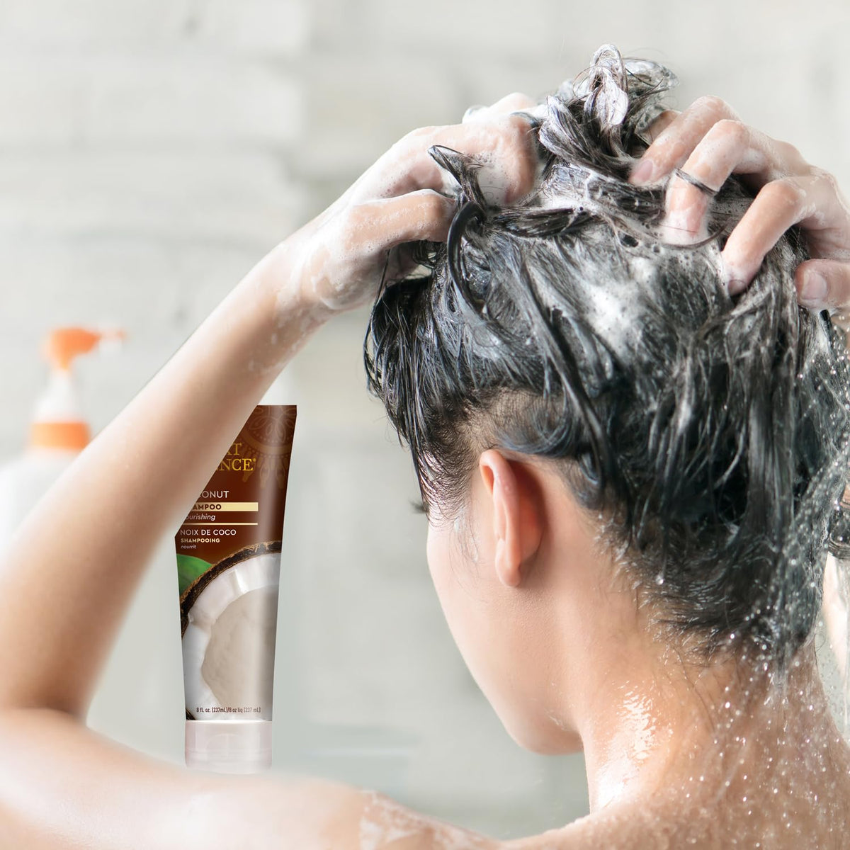 Desert Essence Coconut Shampoo for Dry Hair with Shea Butter, 8 fl oz