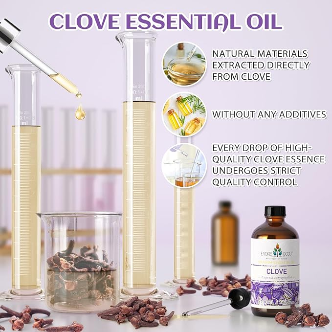 EVOKE OCCU Clove Essential Oil for Teeth and Gums, Diffuser, Oral Care