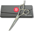 Hair Cutting Scissors for Professionals from Saki Shears - Cuts Wet and Dry Hair - Forged from Japanese 440C Stainless Steel - Sharp, Long Lasting Edge (Steel, 6 Inch Cutting, Right Hand)