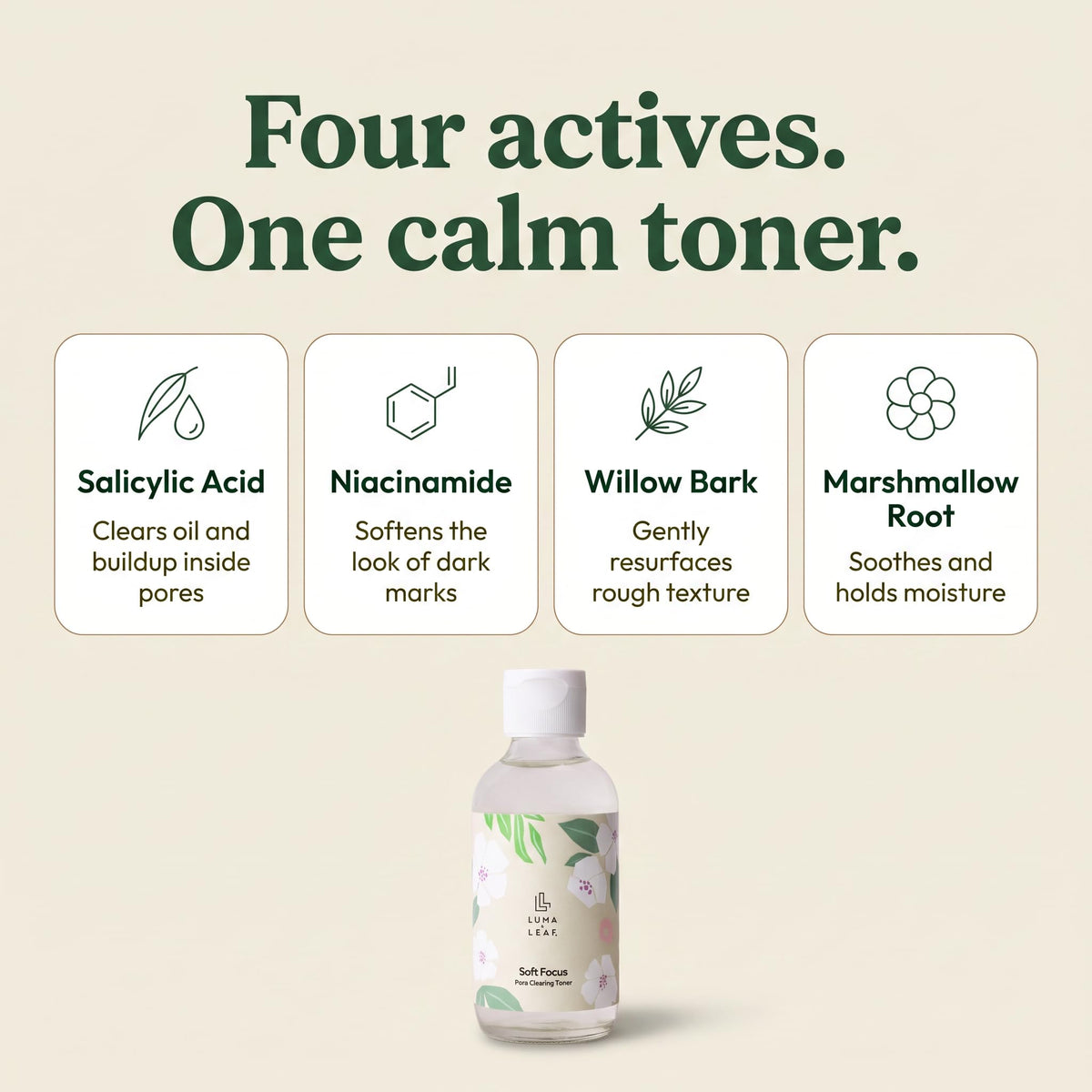 Salicylic Acid Face Toner for Acne & Dark Spots, 4 oz, Luma & Leaf