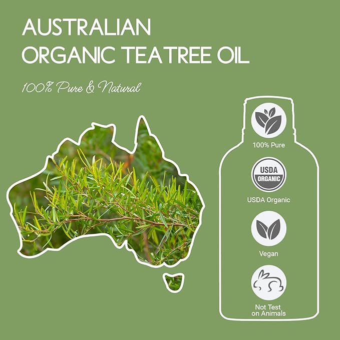LOUTSJOY Organic Tea Tree Oil for Skin, Hair, Face, Scalp, Nails, 1 Oz