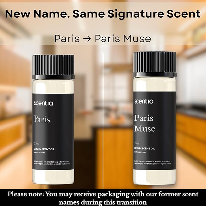 Scentia Paris Muse Aromatherapy Oil for Diffuser – Hotel Scent Inspired by Hotel Costes Paris – 20 mL – Rose, Sandalwood & Clove Natural Fragrance Oil for Waterless & Cold Air Diffusers, Made in USA