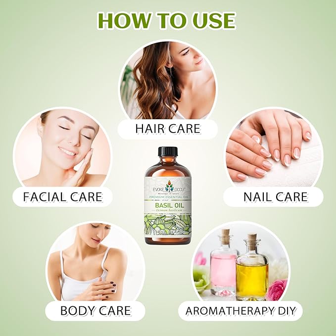 EVOKE OCCU Basil Essential Oil for Diffuser, DIY & Herbal