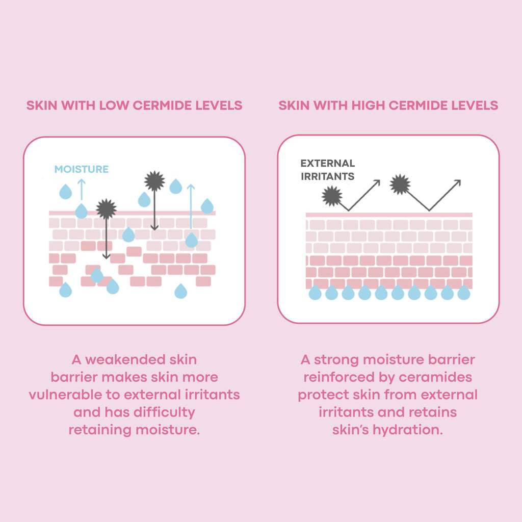 TONYMOLY Wonder Ceramide Mochi Milky Toner, Hydrating Barrier Repair, 500ml