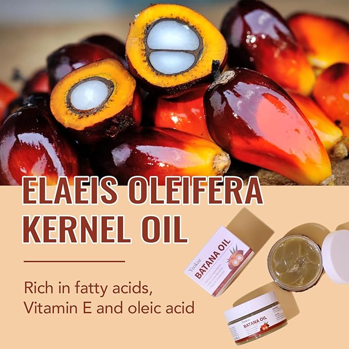 Yeokoe Batana Oil for Hair Growth Pure and Natural Raw Unrefined Dr Sebi,Hair Oil,Great for Skin Care and Hair Care Promotes Hair Thickness for Men Women