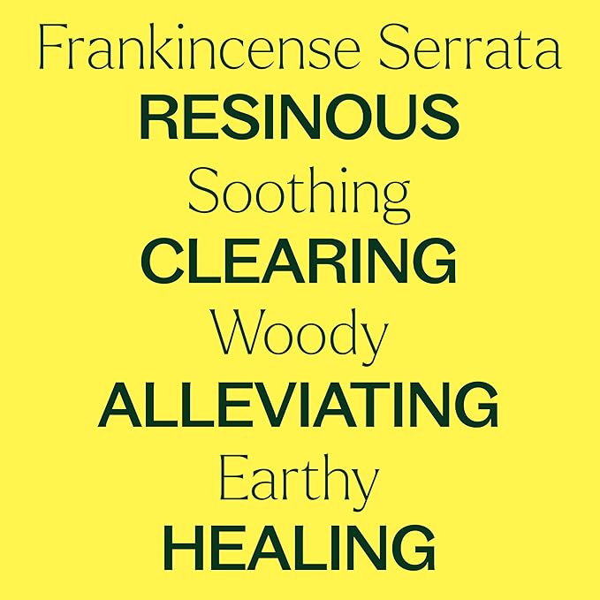 Plant Therapy Organic Frankincense Serrata Essential Oil, 100 mL (3.3 oz), USDA Certified Organic, 100% Pure and Undiluted, Great for Aromatherapy and DIY Skin Care