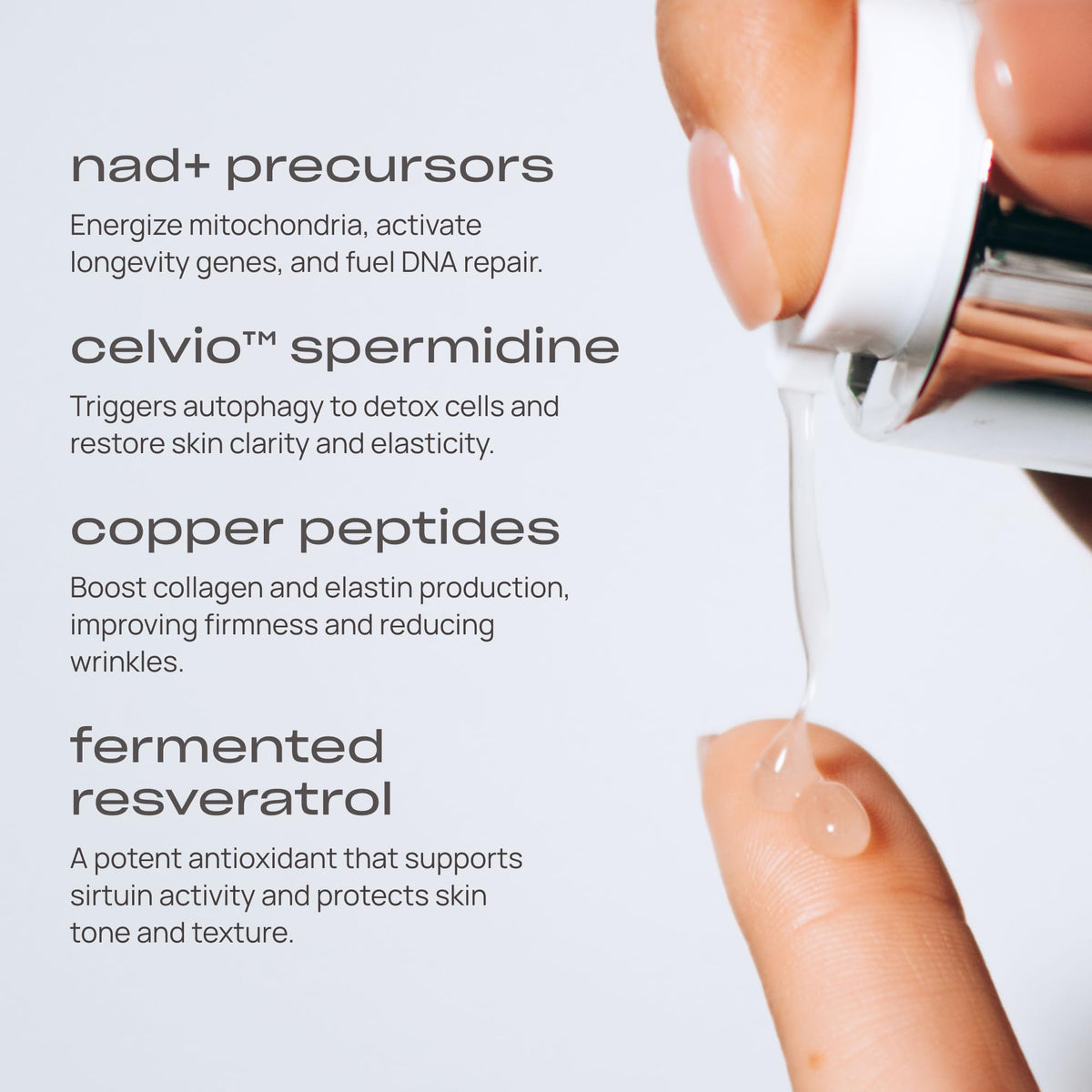 Young Goose Youth Reset Face Serum, Peptides & Resveratrol, 15 mL