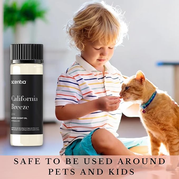 Scentia California Breeze Aromatherapy Oil for Diffuser – Hotel Scent Inspired by Delano Beach Club – 20 mL – Orange, Green Tea & Jasmine Natural Fragrance Oil for Waterless & Cold Air Diffusers