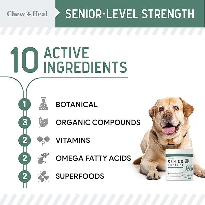 Glucosamine for Senior Dogs Hip and Joint Supplement, 60 Mobility Chews