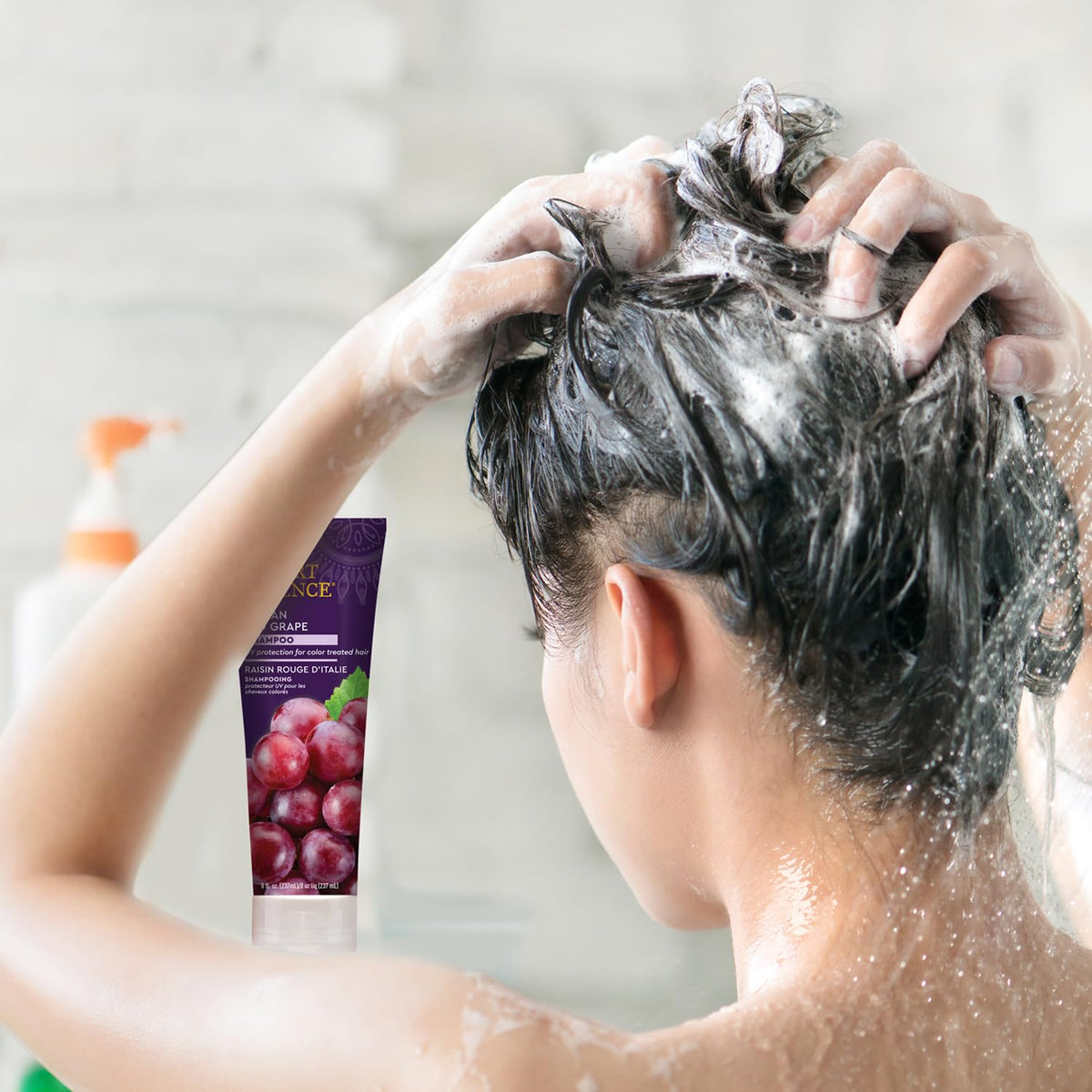 Desert Essence Italian Red Grape Shampoo, 8 Fl Oz