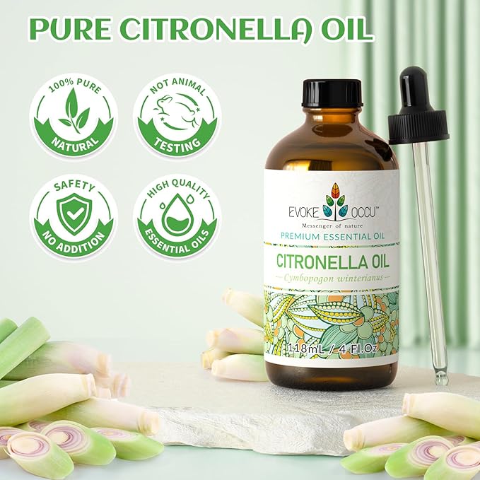 EVOKE OCCU Citronella Oil for Diffuser & Air Freshening