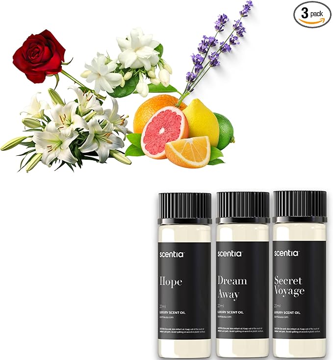 Scentia Diffuser Oil Gift Set – 3 Luxury Fragrance Oils, 20ml Each – Hope, Dream Away & Secret Voyage – Designer-Inspired Scented Oils for Cold Air & Waterless Diffusers, Cruelty-Free