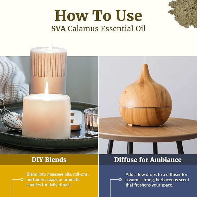 SVA Calamus Essential Oil 1 Fl Oz – for Diffuser, Skin & Hair Care – Ideal for Massage & DIY Blends - with Dropper