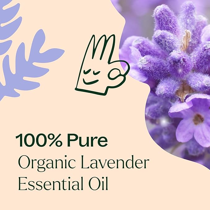 Plant Therapy Organic Lavender Essential Oil 30 mL, USDA Certified Organic