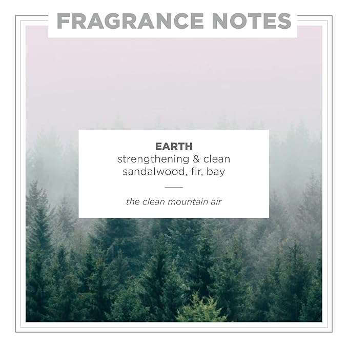 Zents Hand & Body Wash (Earth Fragrance) 10 fl oz