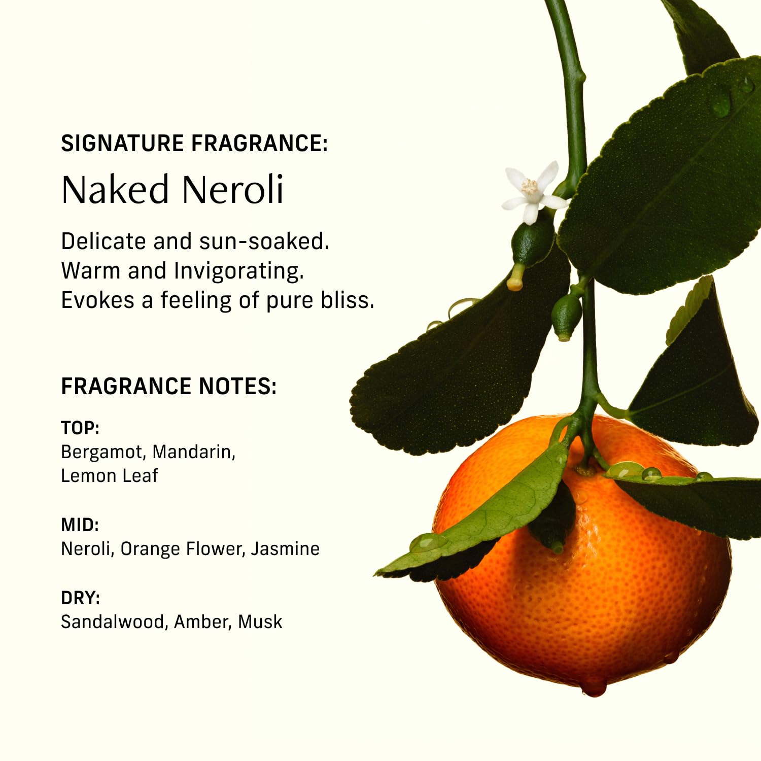 CYKLAR Perfume Oil for Skin – Naked Neroli Scent – Delicate & Sun-Soaked Perfume Fragrance with Neroli, Mandarin & Amber Notes – Travel-Friendly 15ml