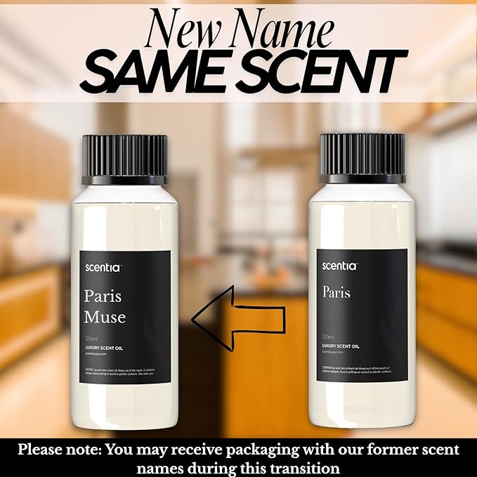 Scentia Paris Muse Diffuser Oil Refill – Hotel Fragrance Oil Inspired by Hotel Costes Paris – 120 mL – Rose, Sandalwood & Clove Long-Lasting Scent for Ultrasonic & Waterless Diffusers, Made in USA