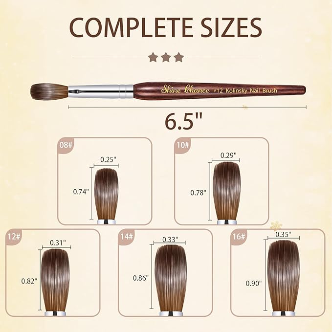 Shine Chance Acrylic Art Brush Size 08, 100% Pure Kolinsky Hair Oval Brush for Acrylic Application, Professional Nail Extension Manicure Tool, Striping Drawing Pen for DIY Home Salon