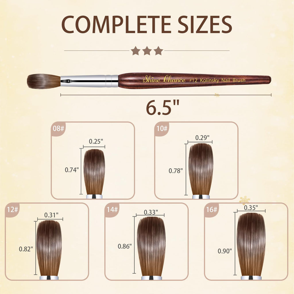 Shine Chance Acrylic Nail Art Brush Size 12, 100% Pure Kolinsky Hair Oval Nail Brush for Acrylic Application, Professional Nail Extension Manicure Tool Striping Nail Drawing Pen for DIY Home