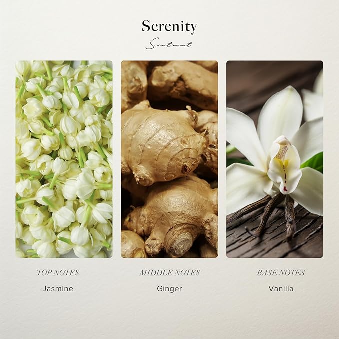 Scentiment Serenity Diffuser Oil - 0.68 fl oz Refill