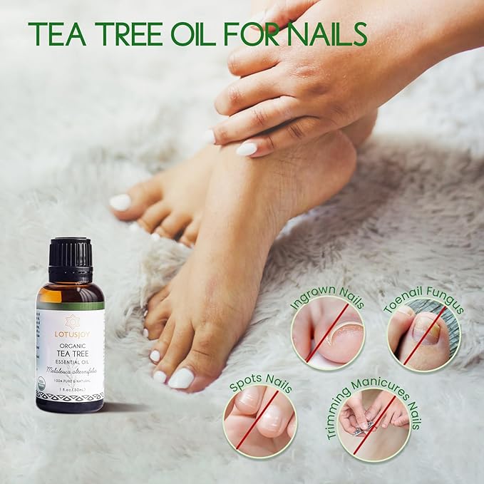 LOUTSJOY Organic Tea Tree Oil for Skin, Hair, Face, Scalp, Nails, 1 Oz