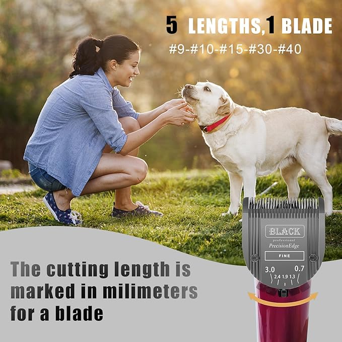 2Pack 5 in 1 Blades Dog Grooming Blade Compatible with Wahl Bravura Clipper
