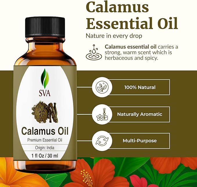SVA Calamus Essential Oil 1 Fl Oz – for Diffuser, Skin & Hair Care – Ideal for Massage & DIY Blends - with Dropper