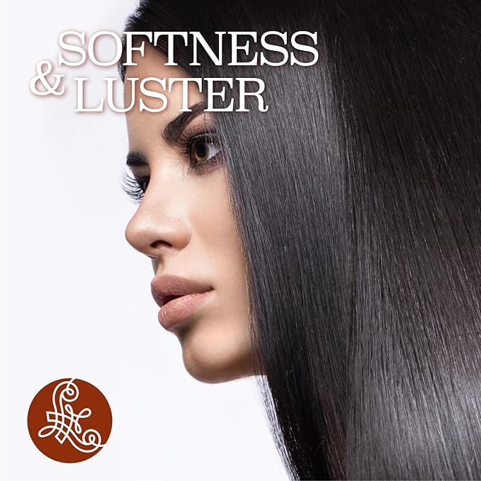 Luseta Argan Oil Shampoo & Conditioner Set for Dry Damaged Hair, 2 * 16.9oz