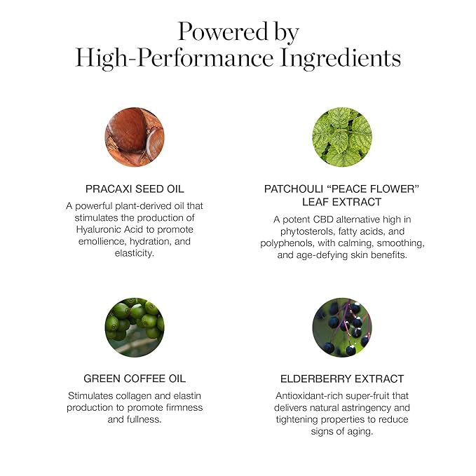 Ogee Sculpted Complexion Foundation Stick (Acacia 12.25C