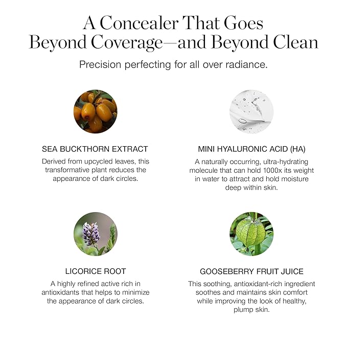 Ogee Complexion Perfecting Under Eye Concealer, FIR 0.02W
