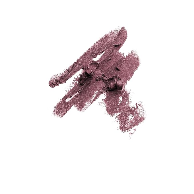 Radiant Professional Waterproof Long Lasting Lip Liner, 16 PLUM